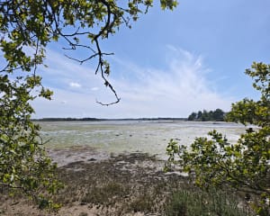Circuits du Gouarde et de Saint-Ernan - ludovic - 9