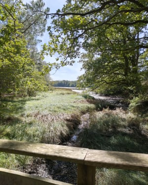 Circuits du Gouarde et de Saint-Ernan - ludovic - 6