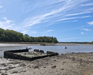 Circuits du Gouarde et de Saint-Ernan - ludovic - 10