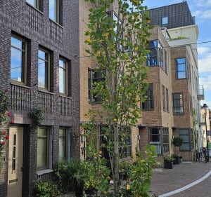 Rondwandeling door 's-Hertogenbosch - Donald - 2