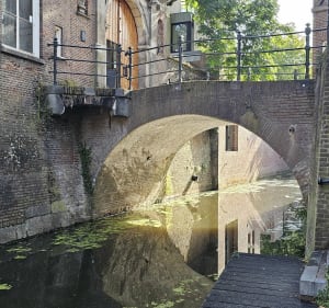 Rondwandeling door 's-Hertogenbosch - Donald - 4