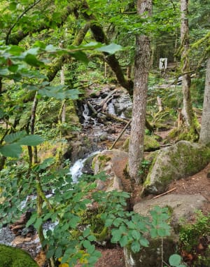 Les cascades du Tendon - YOANN - 13