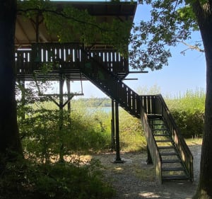 Petite randonnée autour Plan d’eau de MICHELBACH - Brigitte - 3