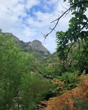 Rando dans les gorges d’Héric - Ambre - 6