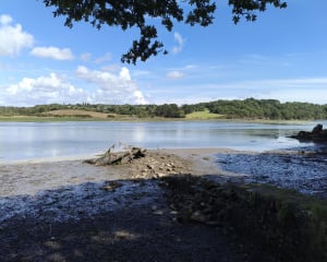 Bois du Hénan et Moulin Mer - GUY - 7