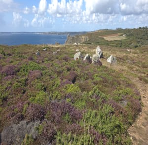 Roscanvel : sur une presqu'ile sauvage et lumineuse - Mathieu - 6