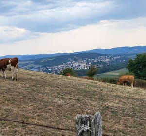 Balade sympa au départ du parc du Chasseur - FLORENCE - 4