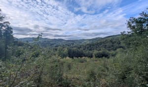 Cascade et lande d'Augerolles - Marc - 8