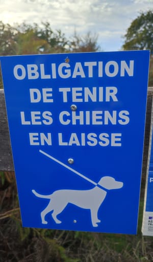Pointe de Ninezur - Yann - 10