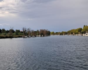 Berges de l'Hérault et retour par la plage - Christophe - 7