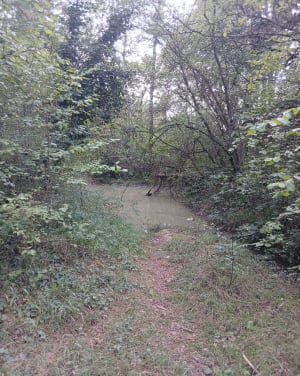 Petit parcours dans les hauteurs de Mellecey - mari - 5
