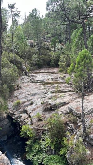 Cascade de Piscia di Ghjaddu - San-Gavino-di-Carbini - 12