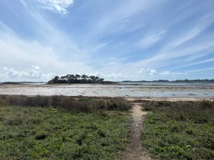 Petite balade à l'Île aux Moines - Florent - 4