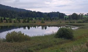 Tour du lac des Rouges-Truites - Valerie - 2