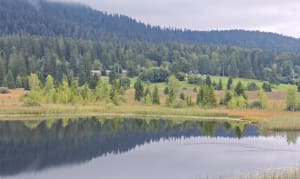 Tour du lac des Rouges-Truites - Valerie - 3