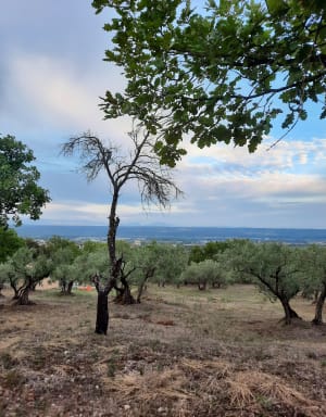 Manosque , Via la chappelle Toutes Aures - Arnaud - 2