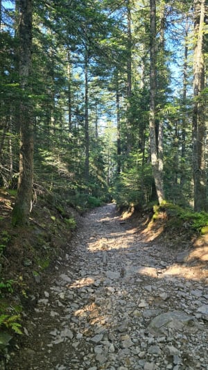 Boucle Doizieux vers Col de l'Oeillon - Renaud - 13