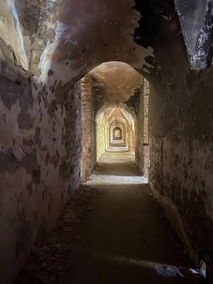 Balade au Mont Saint-Quentin - Chloe - 2