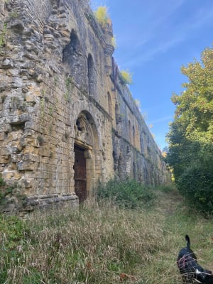 Balade au Mont Saint-Quentin - Chloe - 4