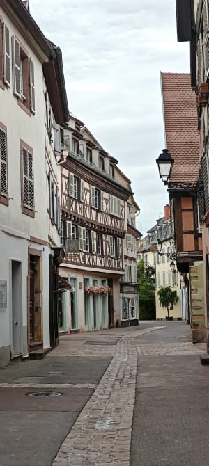 Stadswandeling in Colmar en de Elzasser schoonheden - An - 5