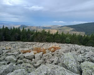Sommet de Finiels au Mont Lozère - Marina - 6