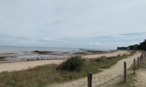 À vélo sur des chemins de mer et de marais à Noirmoutier - MELANIE - 10