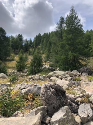 Boucle autour du Lac d’Allos - Sandrine - 4