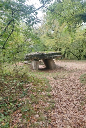 Entre les Dolmen du causse de la Capelle-Balaguier - REGINE - 2