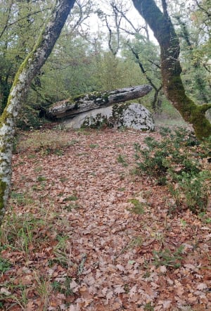 Entre les Dolmen du causse de la Capelle-Balaguier - REGINE - 4