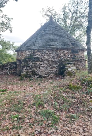 Entre les Dolmen du causse de la Capelle-Balaguier - REGINE - 6
