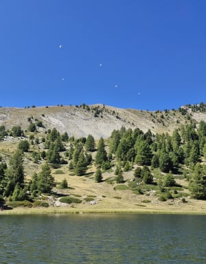 Boucle de Dormillouse par le col bas et le lac noir - Virginie - 7