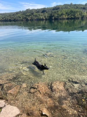 Boucle du Lac de Montpazat, lac d'Artignosc et chapelle - melanie - 8