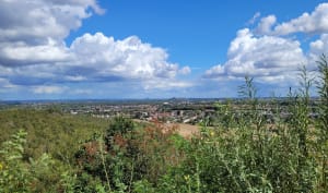 Terrils de Pinchonvalles - delphine - 3
