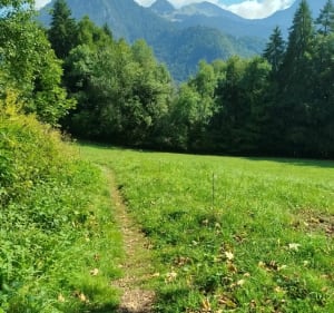 Roc d'Enfer - Saint Jean d'Aulps Station - Nathan - 2
