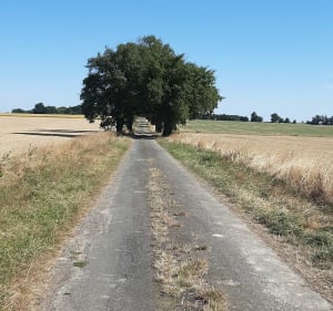 Les galets de Gargantua - Armand - 4