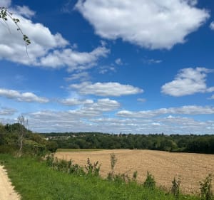 Parc de la Brosse- Bussy St Georges - Laetitia  - 5