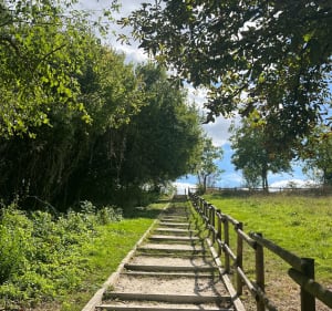 Parc de la Brosse- Bussy St Georges - Laetitia  - 4