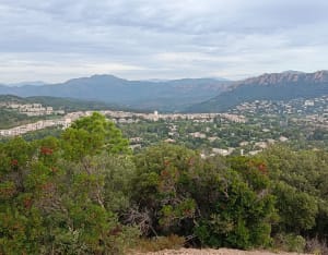 Cap Dramont et balade fleurie - Yannick - 6