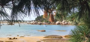 Trégastel et tour de l'île Renote - franck - 12