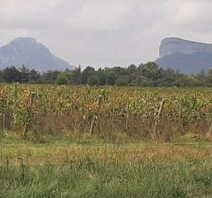 Balade du à Vendargues - THIERRY - 5
