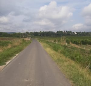 Balade du à Vendargues - THIERRY - 4