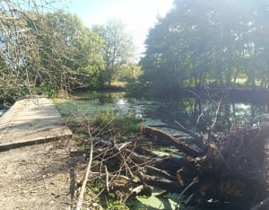 De la Prairie ¨de St-Gildas à Châteauroux, par St-Maur à VTT - Remy - 6