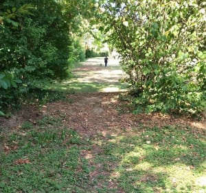 Chemin des Tuileries et le Perray - William - 3