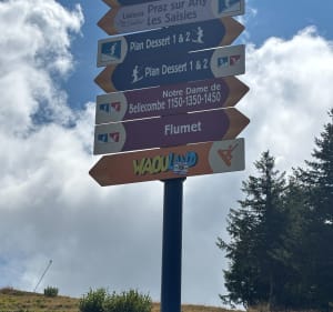 Des Frasses au Vorès, retour par le Mont Rond (NDB) - Chalet - 2