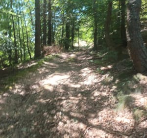 Sentier du château de Luc - BENJAMIN - 2