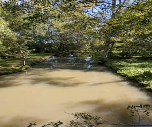 À travers les canaux d'Arçais et unicité du Marais Poitevin - FRANCK - 5