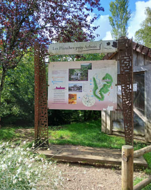 Promenade à la cascade des Tufs et petite source de la Cuisance - Les Planches-prés-Arbois - 18
