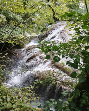 Promenade à la cascade des Tufs et petite source de la Cuisance - Les Planches-prés-Arbois - 19