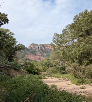 Tour du lac et village de Roquebrune-sur-Argens - Anne  - 3
