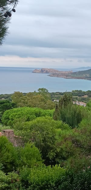 Entre plage et maquis vers Algajola - DOMINIQUE - 9